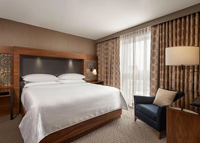 One-Bedroom King Suite